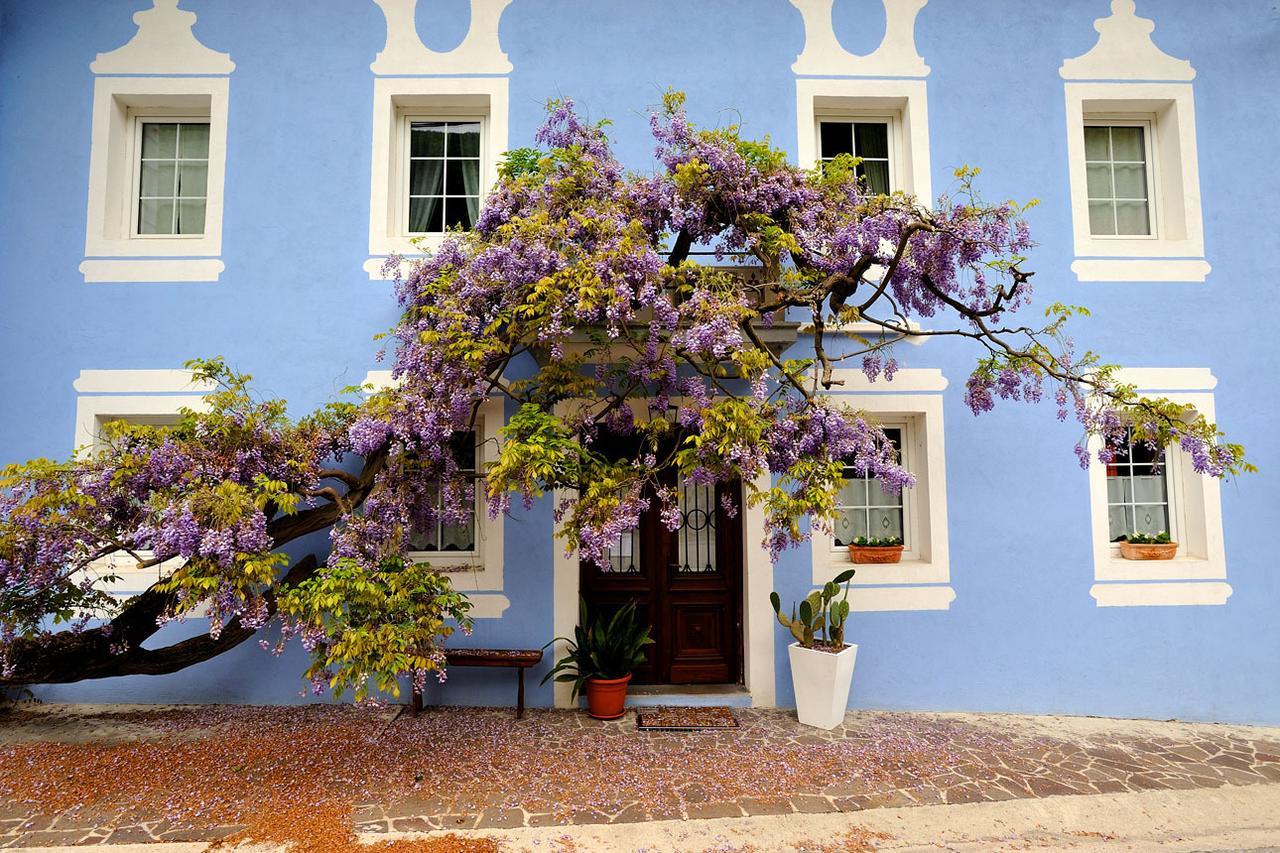 ホテル The Blue House トールミン エクステリア 写真